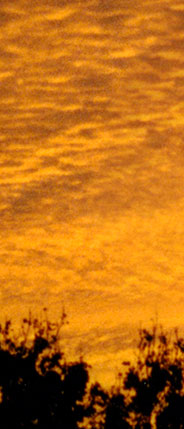 Photograph Print Store derry sunset photo